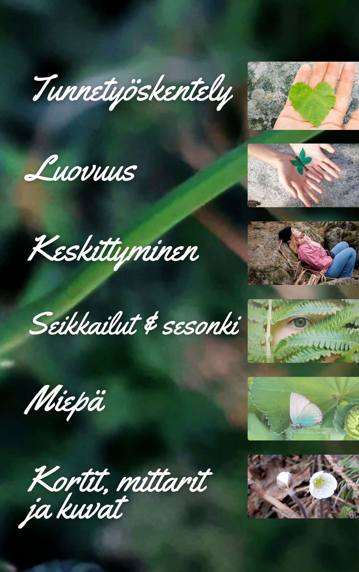 Green Care Creativityn luontolähtöisten työskentelymateriaalien teemoja.