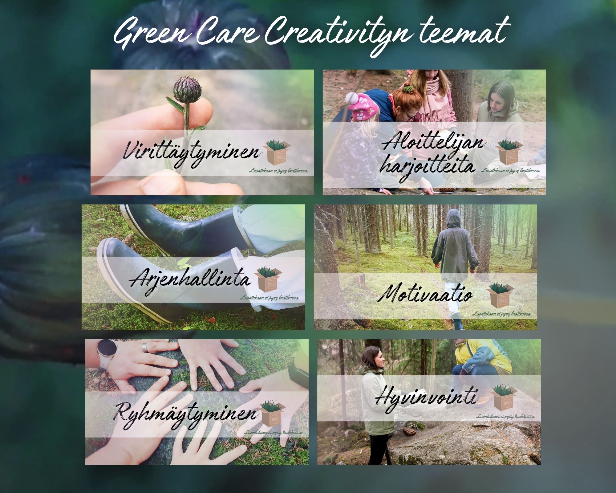 Green Care Creativityn luontoharjoitteet liikkuvat muun muassa näissä teemoissa.